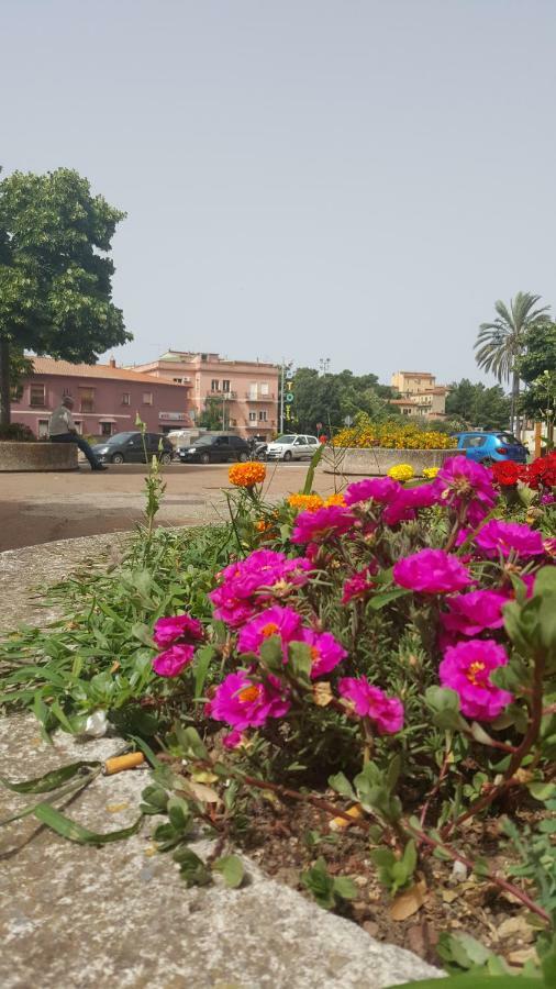 فيلا تويلادافي La Casa Rosa-The Pink House المظهر الخارجي الصورة